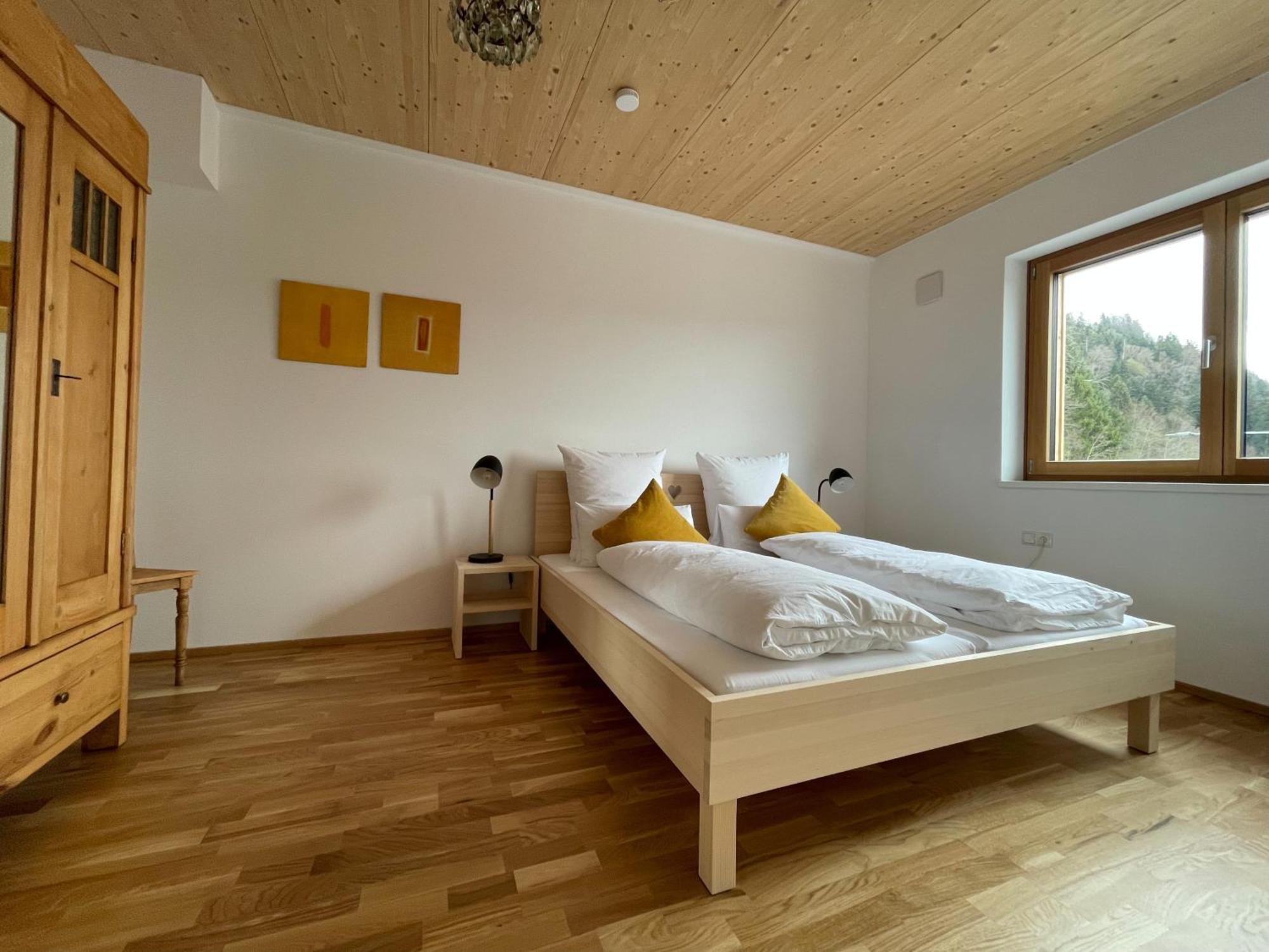 Gamsfels Josephine Galeriewohnung Langen Bei Bregenz Bagian luar foto