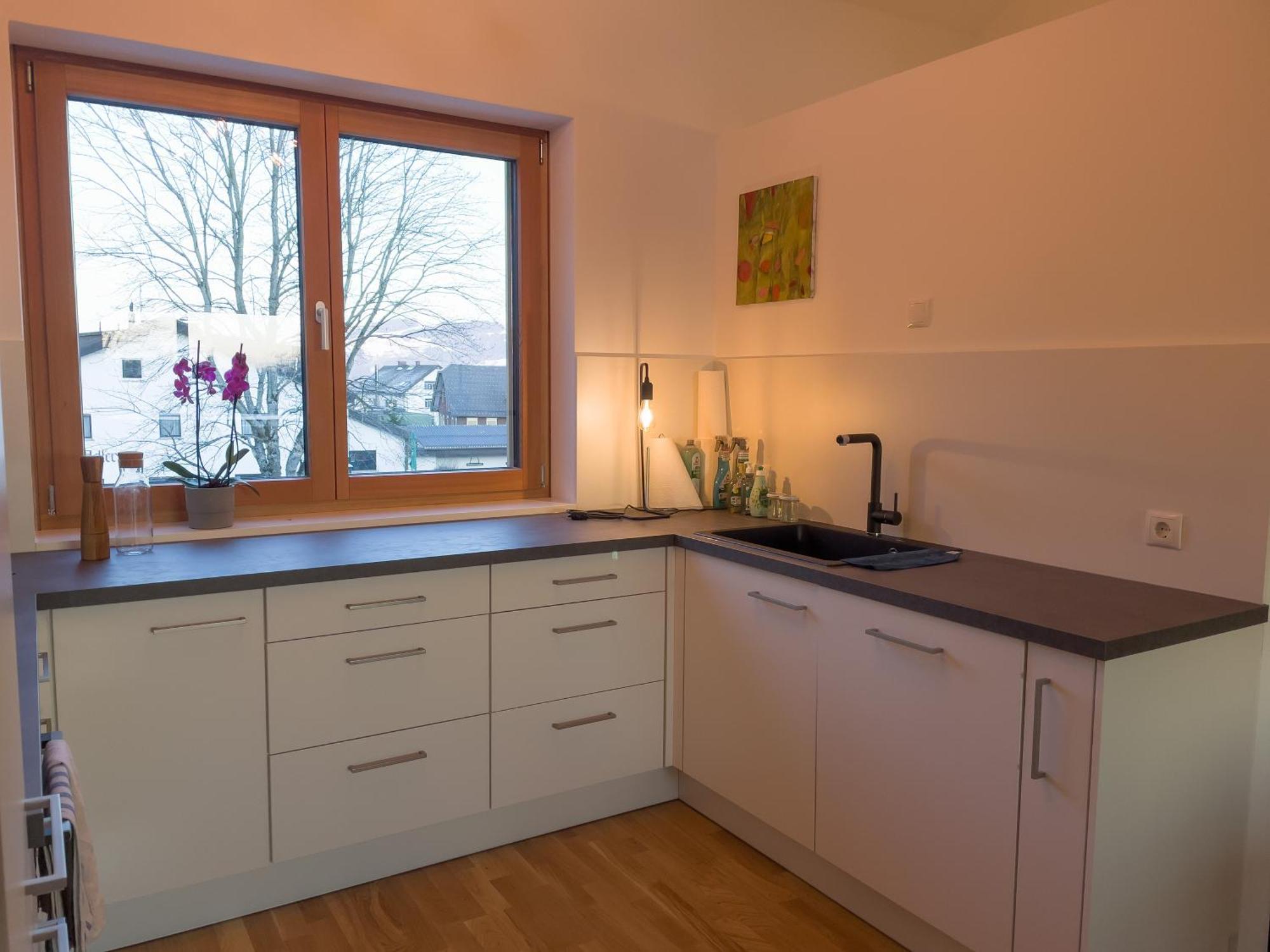 Gamsfels Josephine Galeriewohnung Langen Bei Bregenz Bagian luar foto
