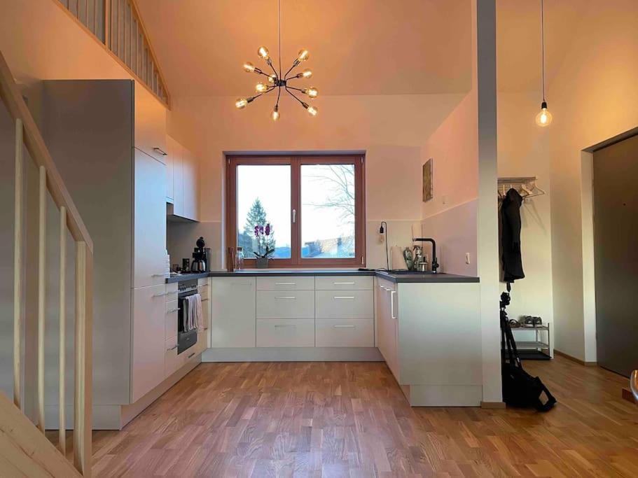 Gamsfels Josephine Galeriewohnung Langen Bei Bregenz Bagian luar foto
